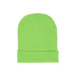 Sp5der Web Beanie ‘Slime Green’